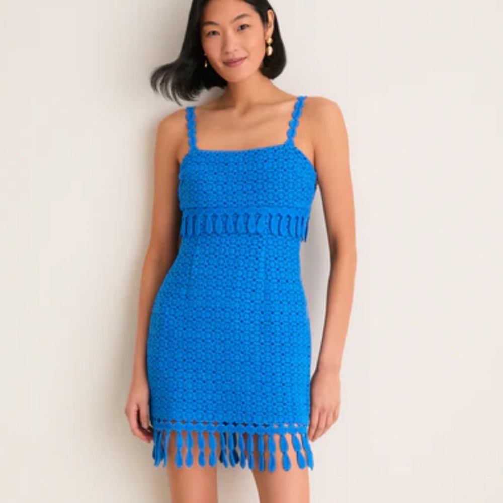 Saylor Cornflower Crochet Caitriona Mini Dress Small
